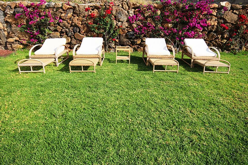 ארונה Villa Albe, Jacuzzi Con Vistas Al Mar מראה חיצוני תמונה
